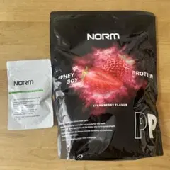 NORM PP ホエイプロテイン ビタミンミネラルサプリメント・予備 