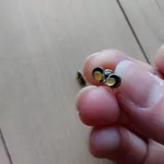 インディアンジュエリー　シンプル二重リングピアス