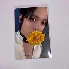 Item thumbnail for item 7523c7f1-b9fc-437b-8b99-f4f9d62fb390