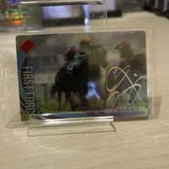 ファストフォース トレーディングカード サイン入り　競馬　ウエハース