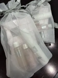 THE GINZA トライアルセット 2点セットのサムネイル