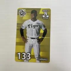 Item thumbnail for item f531a7e6-8797-4a49-96a9-ba5a0319c089