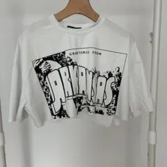 Item thumbnail for item 973e885c-a287-458d-a0af-01713e4f95eb