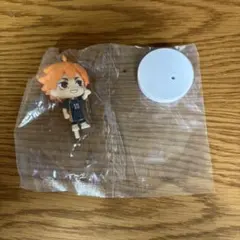 ハイキュー!! みあげてすたぁ　日向