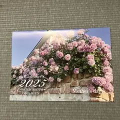 Item thumbnail for item ac578662-bfe3-467f-a846-119a23750130