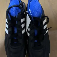 Item thumbnail for item 04b95560-e1b5-4a41-a5c9-a95b787a8cc9