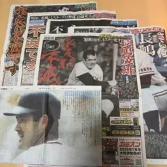 Item thumbnail for item 10bc4b76-0dc4-44eb-8162-078d80771081