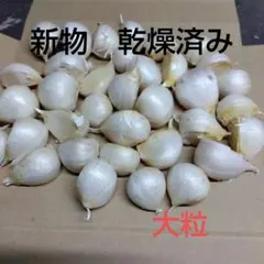 新物　青森県産にんにく　５００gのサムネイル