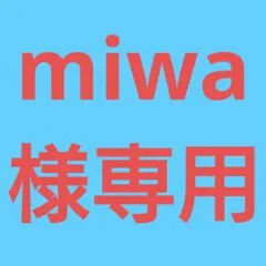 ◆(miwa様専用！)おまとめ購入10点！