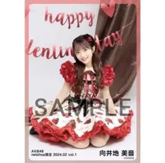 AKB48 向井地美音 netshop限定個別生写真 2024.02 vol.1