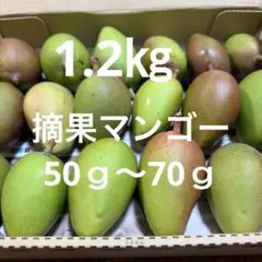 宮崎産摘果マンゴー1.2㌔ - メルカリ
