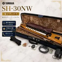 【希少モデル】YAMAHA SH-30NW 電子ヴィオラ 純正ケース ビオラ 希少モデル】YAMAHA SH-30NW 電子ヴィオラ 純正ケース ビオラ - メルカリ