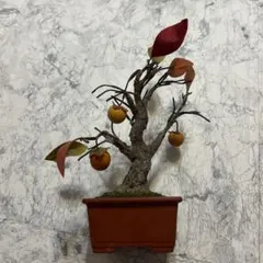 クラフト盆栽 柿の木盆栽 柿の実 晩秋 造花 ミニ盆栽 インテリア　和　ワイヤのサムネイル