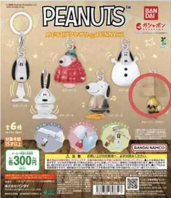 PEANUTS めじるしアクセサリー FUNNY Ver.
