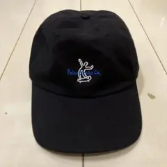 SK8 polar skate co. black cap