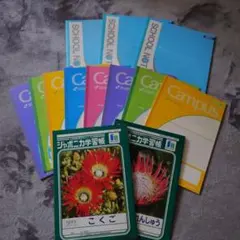 Item thumbnail for item c57db07e-b14b-476a-8ede-e85e71038a71