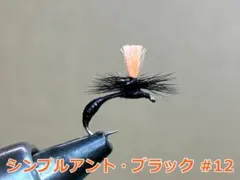 2026年最新】ホワイティング ハックルの人気アイテム - メルカリ
