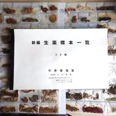 2026年最新】生薬 標本の人気アイテム - メルカリ