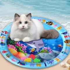 Item thumbnail for item fe5aa5a5-221a-4e10-8ac0-27c510e7863e