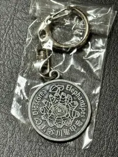 2026年最新】亀甲竜 長谷川の人気アイテム - メルカリ