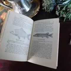 ハル★値段交渉可★様 リクエスト 3点 まとめ商品