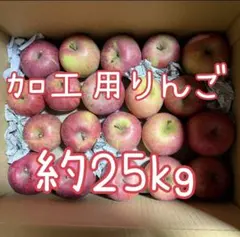 スシ様専用