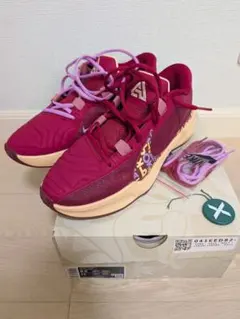 NIKE zoom freak 1 ナイキズームフリーク1 美品 - メルカリ