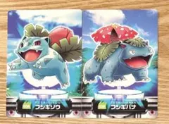 ポケモンずかんカード★　フシギソウ・フシギバナ　2枚セット