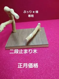 Item thumbnail for item aa4dfe18-f92d-4498-a1bc-c84f33a2a444