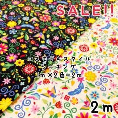 Item thumbnail for item 77e9c6b5-e366-435a-88c2-0e96b6c19b53