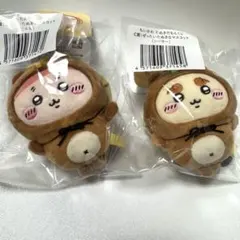 ちいかわくじ　たぬきだもん　古本屋　シーサー