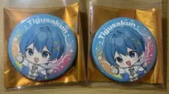 すとふぇす2026 缶バッジ