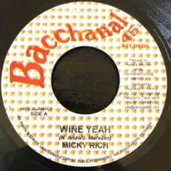 イーチ・アイ・ア・パス ミック・カーン Mick Karn ‎国内盤CD 未開封