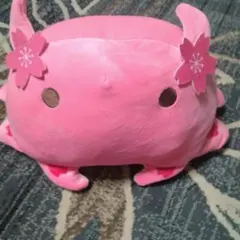 さくら メンダコ BIGぬいぐるみのサムネイル
