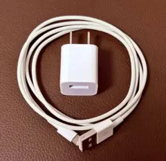 【純正品】USB充電器 ホワイト 1mケーブル付き