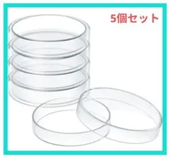 Item thumbnail for item 2d941052-660a-4974-bf25-c85fc1ef0799