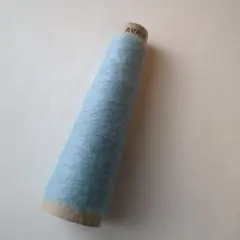 AVRIL　フォギータム10g