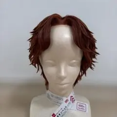 テニスの王子様 越前リョーマ コスプレウィッグ - メルカリ