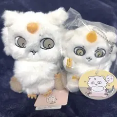 2026年最新】ちいかわ あのこBIGぬいぐるみの人気アイテム - メルカリ