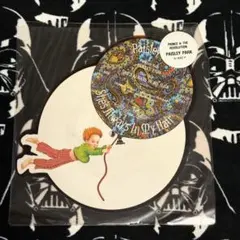 Prince & The Revolution 変形ピクチャーレコード