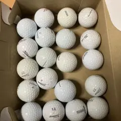 ゴルフボール ロストボール 20個 タイトリスト Titleist