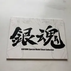 銀魂21冊➕関連本8冊　まとめ売り