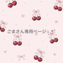 ごまさん専用ページ