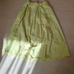 ダブルクローゼット　フレアスカート サイドボタン付き