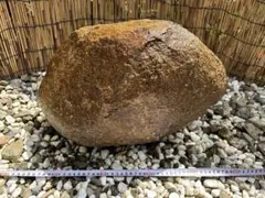 2025年最新】本鞍馬石の人気アイテム - メルカリ