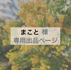 まこと様　専用出品