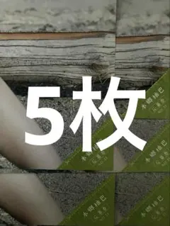 週刊少年マガジン 51号 本郷柚巴 チェキ クオカード 応募券 5枚