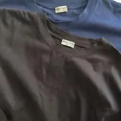 BEAUTY&YOUTH クルーネックTシャツ 2色セット Lサイズ
