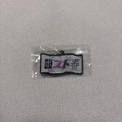 ヨルシカ 一人称 ガチャ ポスト春 メタルキーホルダー