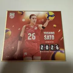 新品VNL2025日本代表佐藤淑乃選手#26アクリルキーホルダー4種セット 佐藤淑乃 【シークレット】 2026バレーボール女子日本代表アクリル